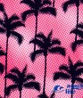 плавки для хлопчика Pop Palms FunkyTrunks зображення 6