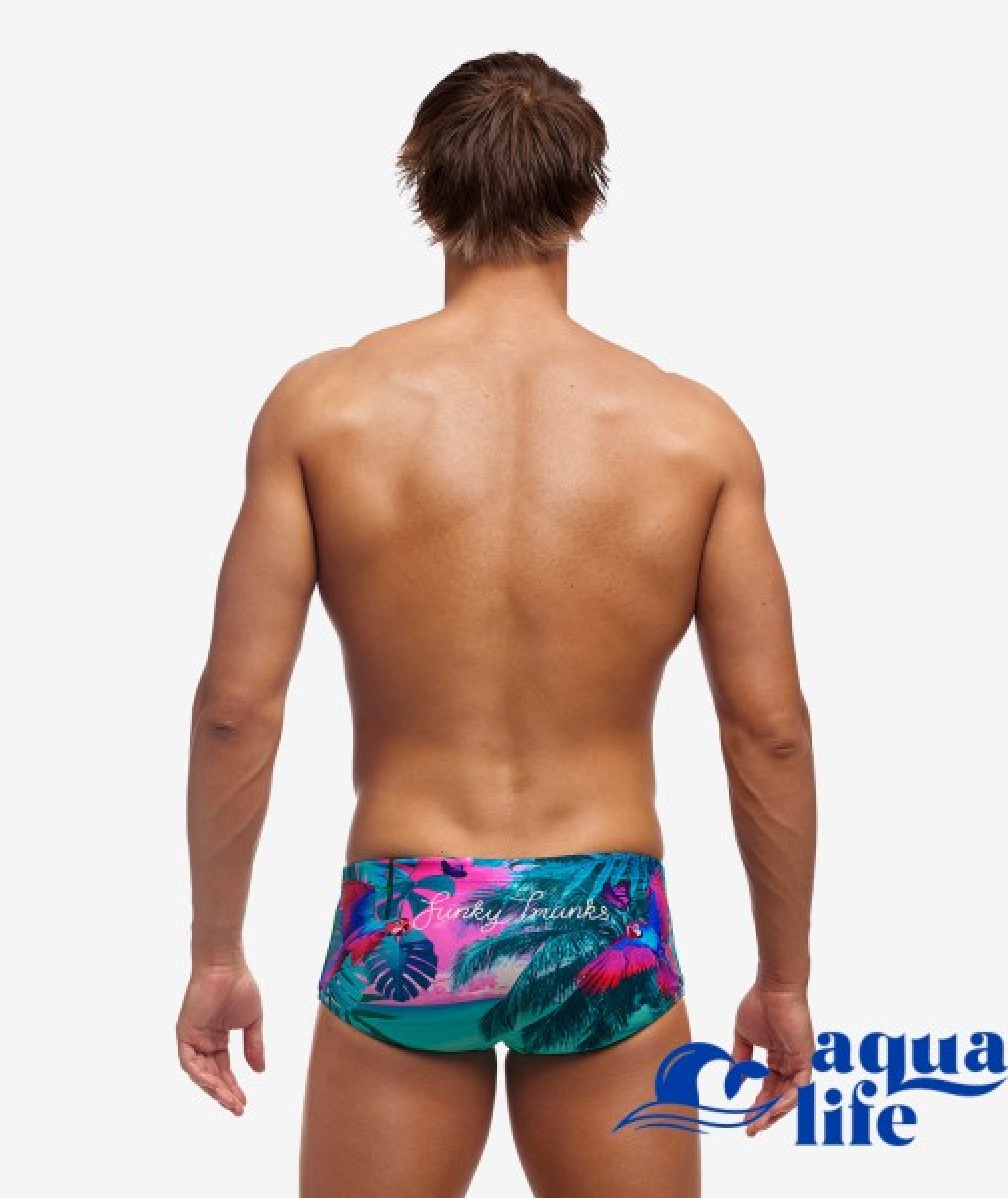 плавки для мужчин The Beach Funkita картинка 3130 6