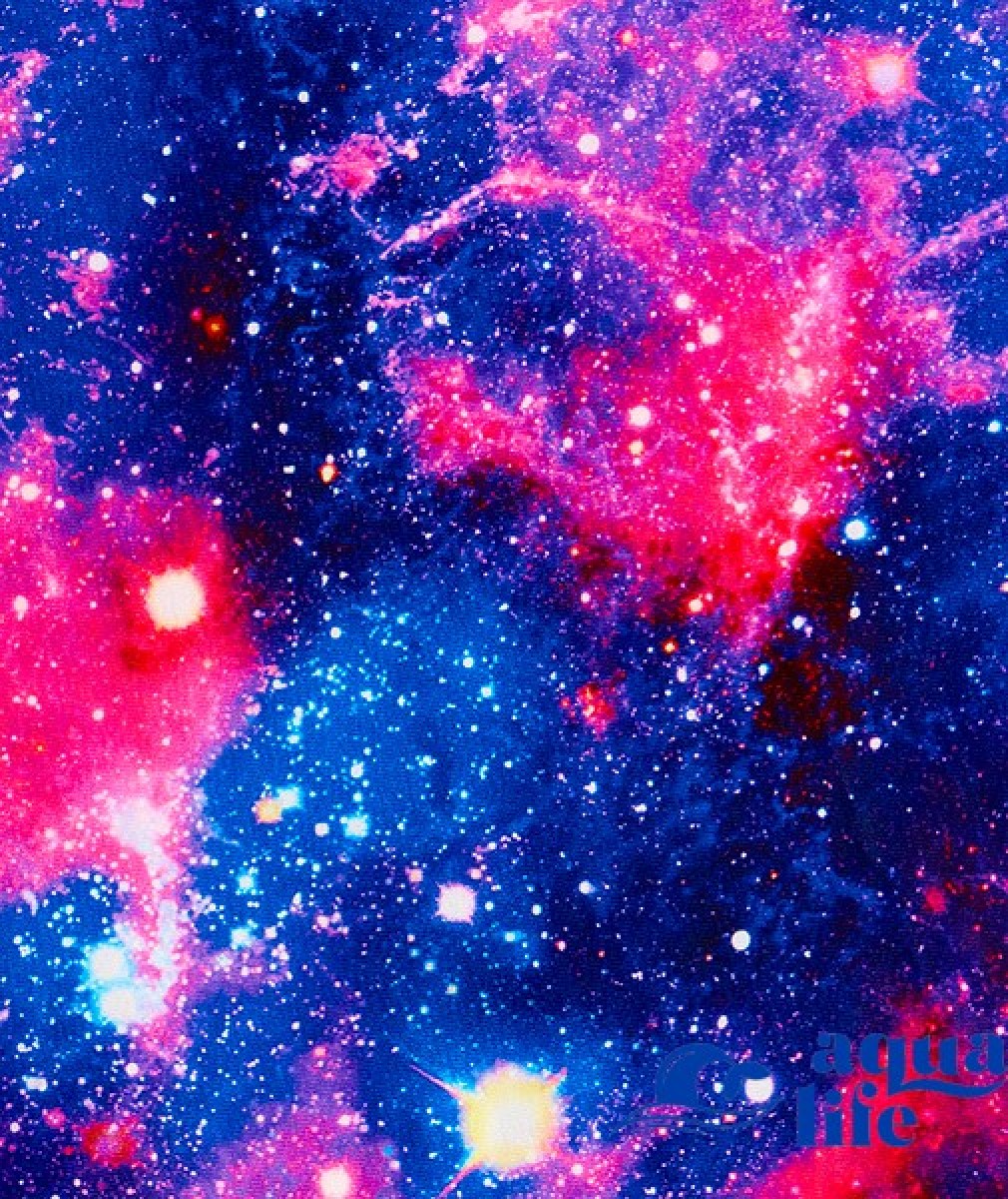 жіночий купальник Cosmos Funkita зображення 564 5